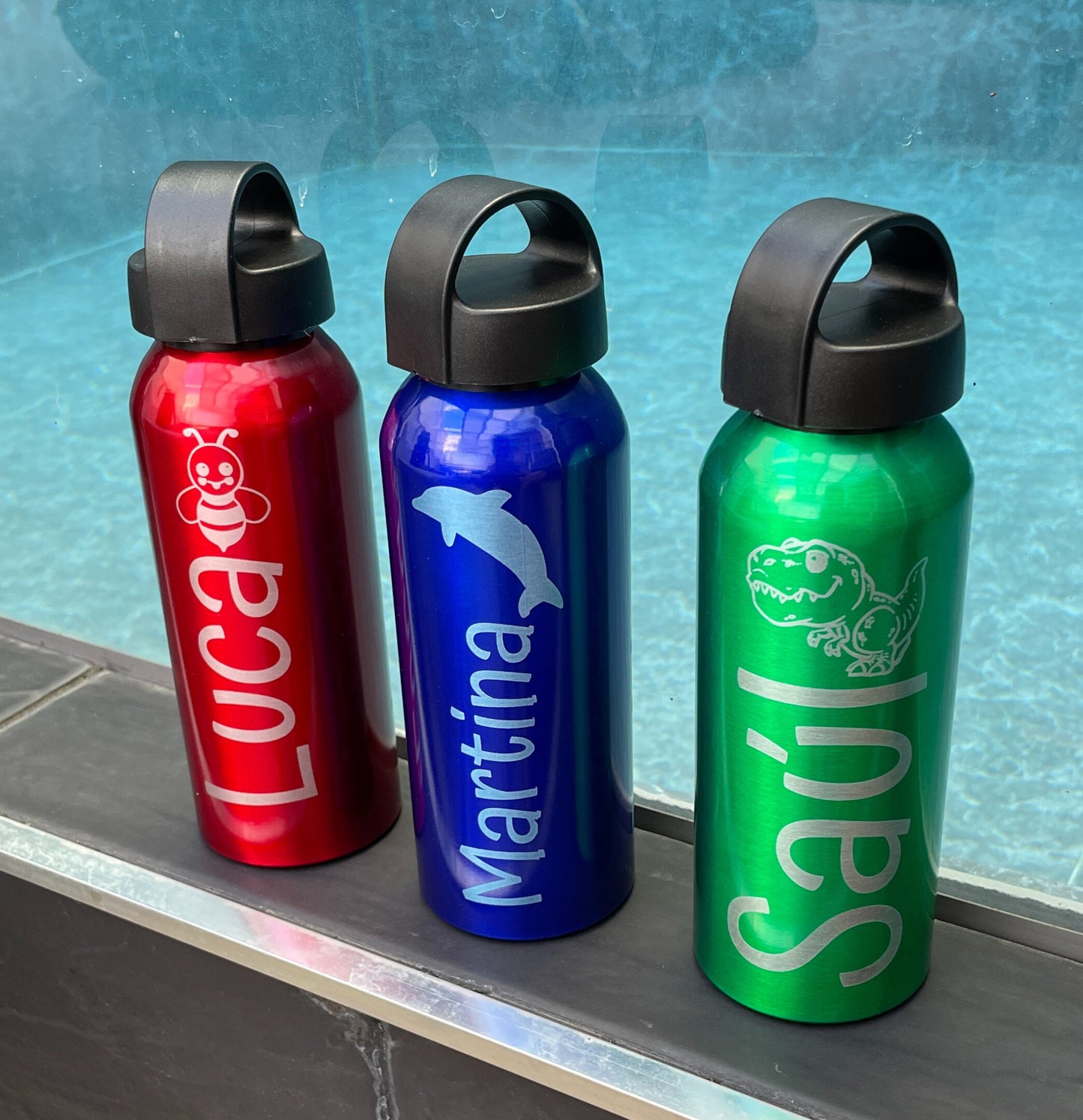 Pack 3 Botellas x 39€